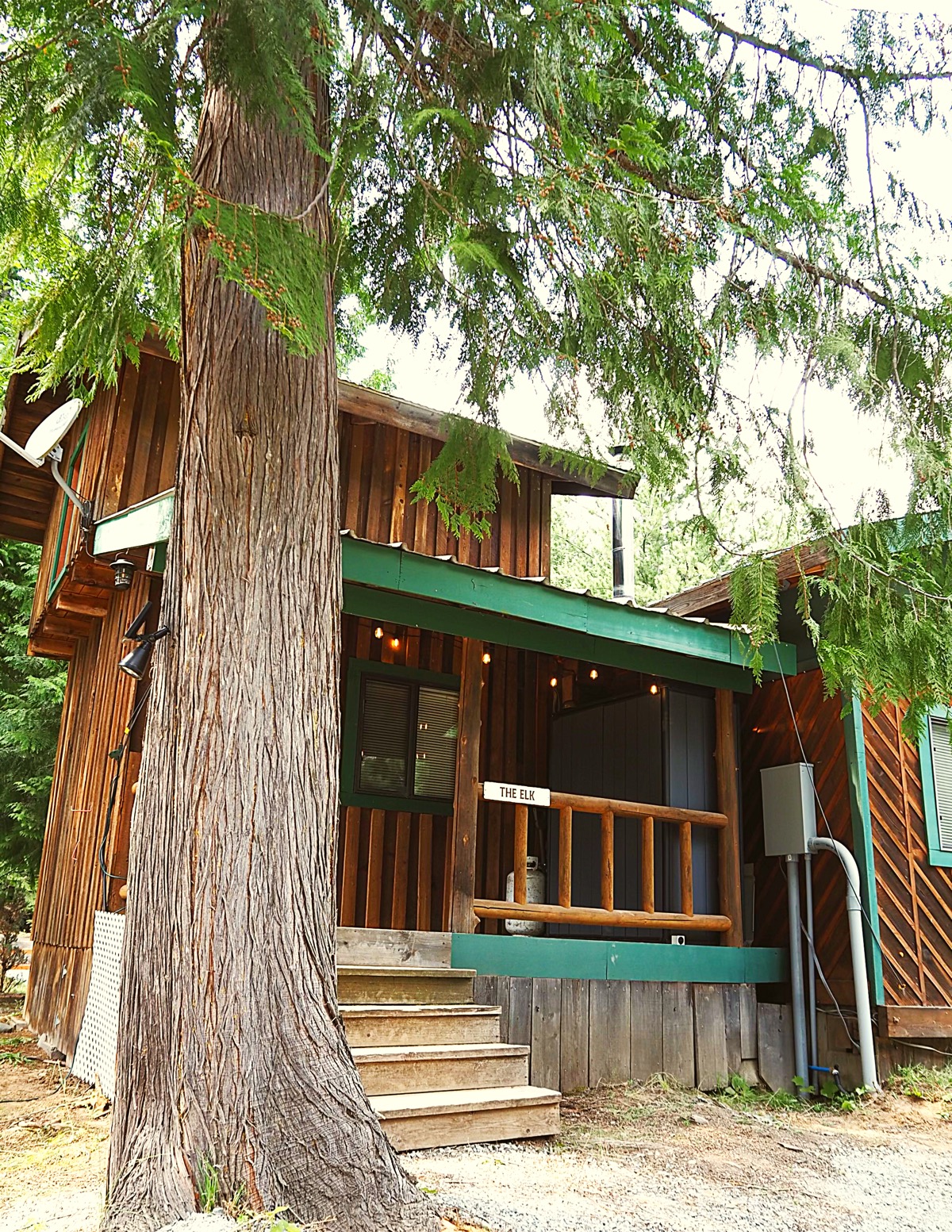 The Elk cabin nestled under towering cedar trees